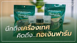 หอม อร่อย คงคุณค่าจากธรรมชาติ l นึกถึงเครื่องเทศ คิดถึง...กอเงินฟาร์ม