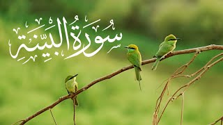 Surah Al-Bayyinah  |Full With Arabic Text (HD) |98-سورۃالبینۃ