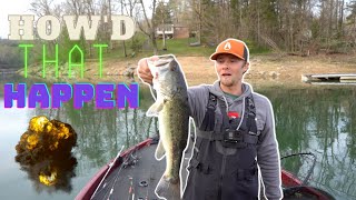 Bass fishing on Norris Lake in April.