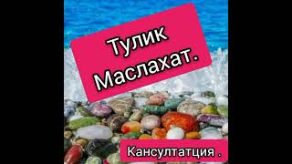 Тулик_малумот_ Кансултатция