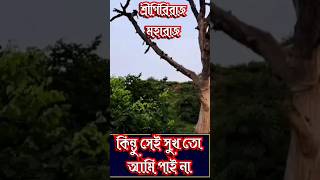 কিন্তু সেই সুখ তো আমি পাই না।গৌর গোপাল গোস্বামী।28 August 2024