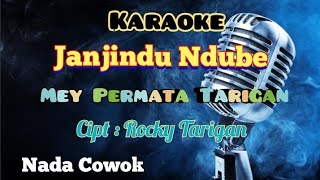 JANJINDU NDUBE | MEY PERMATA TARIGAN | KARAOKE LAGU KARO | NADA COWOK