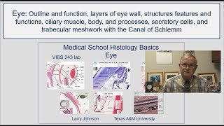 Eye- Outline and function, layers of eye wall, structures features and functions, ciliary muscle