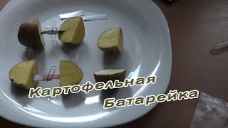 Картофельная Батарейка. Интересные эксперименты для детей