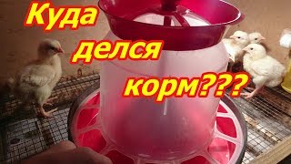 Куда делся корм?