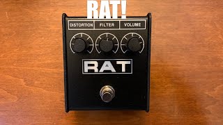 Trying Out My New Pedal! ProCo Rat 2