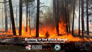 Burning in the Black Range- Using Prescribed Fire on the Gila National Forest