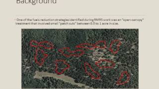 Impacts of thinning and burning in mexican spotted owl habitat