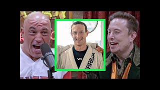 I tried going to Zuck's House!   Elon REVEALS to Joe Rogan