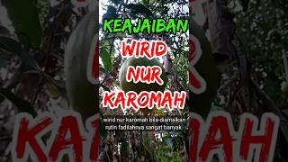 Wirid Nur Karomah multifungsi segala hajat