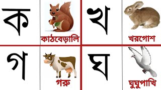 কয় কাকাতুয়ার মাথায় ঝুটি। Bengali alphabet।ব্যঞ্জনবর্ণ। ক খ গ ঘ । bangla bornomala।