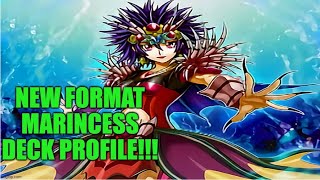 Updated Marincess Deck Profile. Easily Out Dragoon. Yugioh 2020