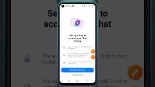 Set up a way to access your chat history messsanger