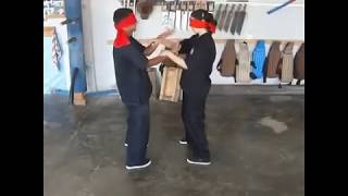 Closed Eyes Wing Tsun Chi Sao by Sifu Gor