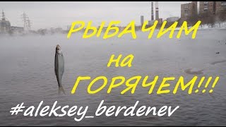 ГОРОДСКАЯ РЫБАЛКА НА БЕЛЬ И ХИЩНИКА. URBAN FISHING. PEACE FISH AND PREDATOR.