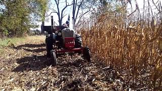 Woods Brothers picking at the DuValls 2018