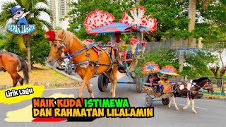 KUDA DELMAN SHOLAWAT ‼️ LIRIK LAGU NAIK DELMAN ISTIMEWA 😻 | KUDA | NAIK KUDA | HORSE | KUDA DELMAN