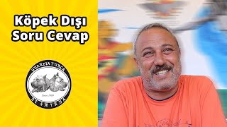 Köpek Dışı Soru Cevap