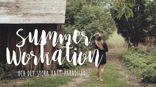 Summer Workation & det stora katt-paradiset | vlog