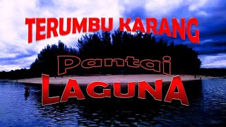 Terumbu Karang Pantai Laguna Bengkulu Destinasi Objek Wisata