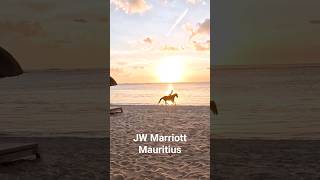 JW Marriott Mauritius