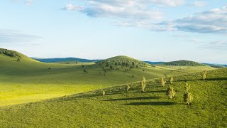 Grasslands Cinematic Drone Video | Interactive