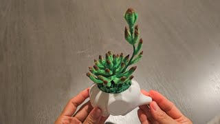 succulent from pipe cleaner/ DIY succulent plant / craft idea from pipe cleaner