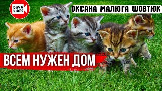 Всем нужен дом❗ Автор - Оксана Малюга Шовтюк | Стихи до слез