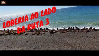 99 dias na estrada - parte 8