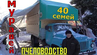 Пчеловодство / Маленький да удаленький / Пчелопавильон 40 семей.