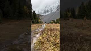 It was a torrential downpour all the way up, and then it cleared 😊 #kananaskis #canada #alberta