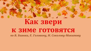 "Как звери к зиме готовятся"