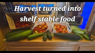 Desire for Freshness: Freeze Dry and canning 4th Garden Bounty