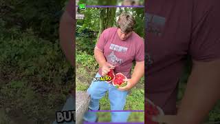 The Man With Super Size Hands #shorts  #shortvideo#viral