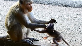 TERRIFIED HAND...PITIFUL POOR BABY ANNIE BEGGING MUM...WHY IS SHE SO MEAN TO HER BABY?