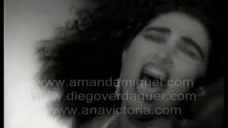 Amanda Miguel   Lo ví   Videoclip oficial