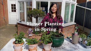 Flower planting | Spring | Mamata's Essence