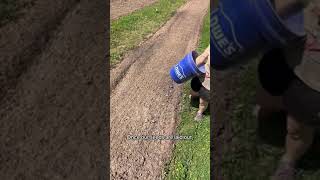 Planting a Wildflower Meadow