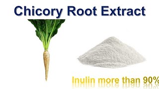 Chicory Root Extract Inulin powder