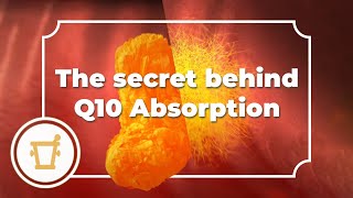 Q10 and absorption - how does your supplement measure up?