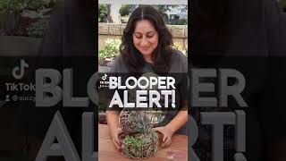 Blooper Reel Succulent Crafts #Shorts