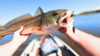 Kayak Fishing Unknown Waters! (La France Marina)