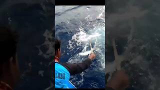 Mancing Tonda Ikan Payus #shortsvideo #shortsfeed