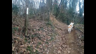 Percorso n°58 - L'anello di Rivadora (Baldissero Torinese)