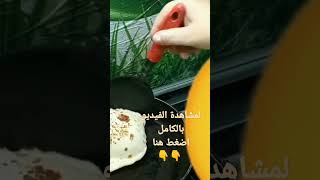 أنجح خبز طاسة بمكونات بسيطة جدا