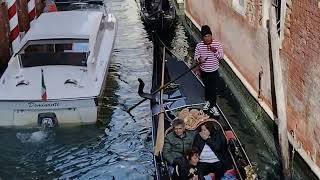 Veneza Divina, La Sereníssima