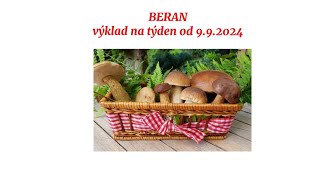 BERAN♈️ Výklad na týden od 9.9.2024