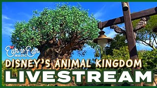 🔴 LIVE - Disney's Animal Kingdom - Walt Disney World Livestream 07.12.24