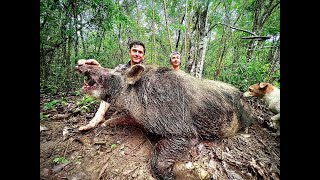 Big Boars and Spearfishing with Reelloose Adventures