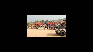 pushkar desert shfari #vlog #desert